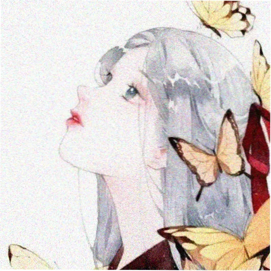 读者观星客的头像